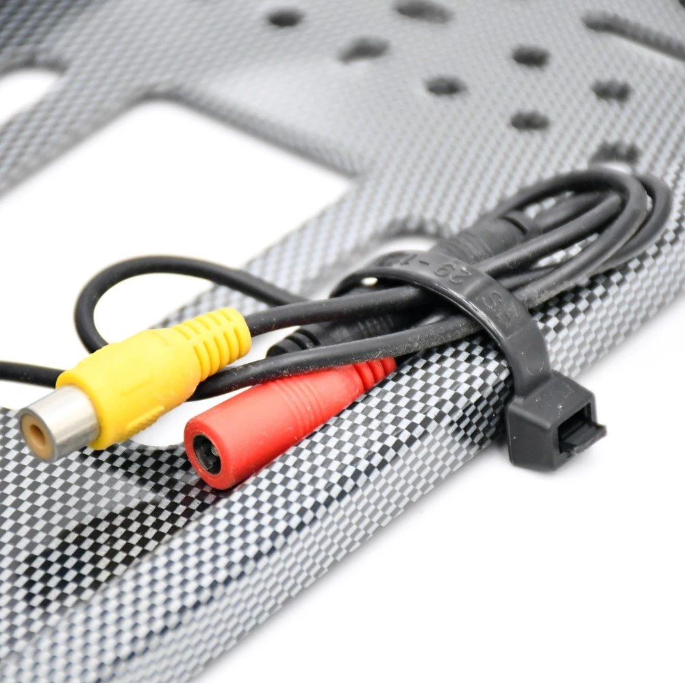 Car Frame Camera Plate License EU.jpg